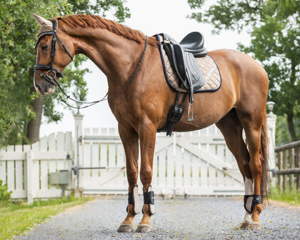 QHP peesbeschermers taupe