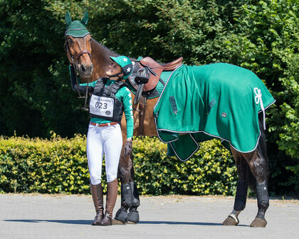 QHP Eventing beenbeschermers Technical achterbenen zwart