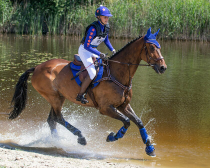 QHP Eventing beenbeschermers Technical achterbenen kobaltblauw