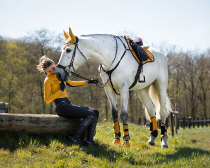 QHP Eventing beenbeschermers Technical achterbenen citrus