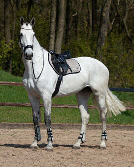 QHP peesbeschermers Champion beige