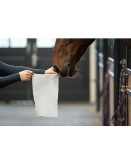 HB Horse Wipes Natural Clean 30 XXL wipes