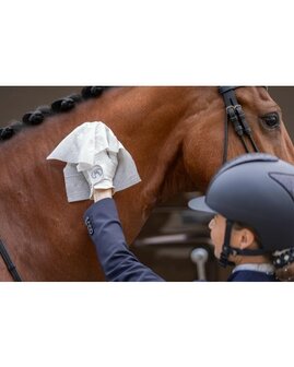 HB Horse Wipes Natural Clean 30 XXL wipes