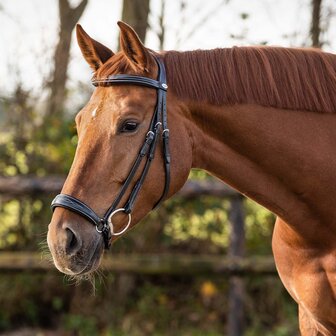 QHP hoofdstel luxe lage neusriem zwart