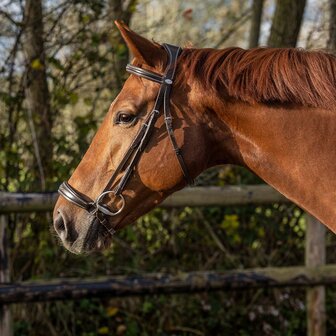 QHP hoofdstel luxe lage neusriem donkerbruin