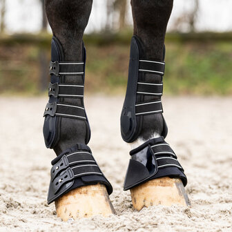 QHP springschoenen Champion