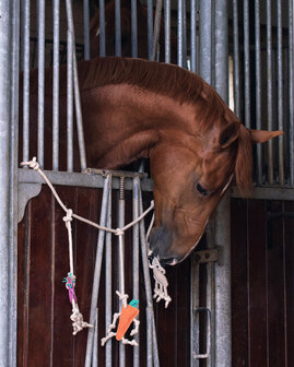 QHP paardenspeelgoed boxhanger