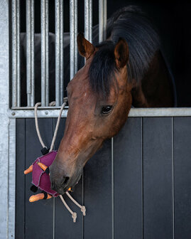 QHP paardenspeelgoed bal roze