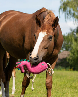 QHP paardenspeelgoed Unicorn