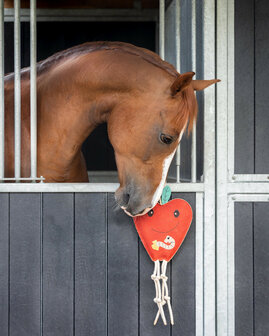 QHP paardenspeelgoed appel