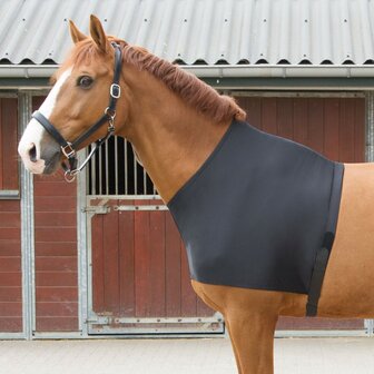 Harry&#039;s Horse elastische borstbeschermer