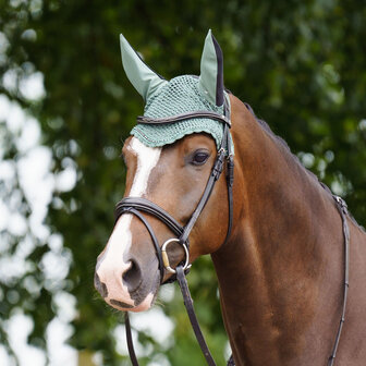 HV Polo oornetje Classic greenery