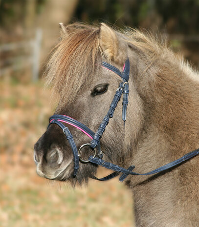 Waldhausen hoofdstel Unicorn