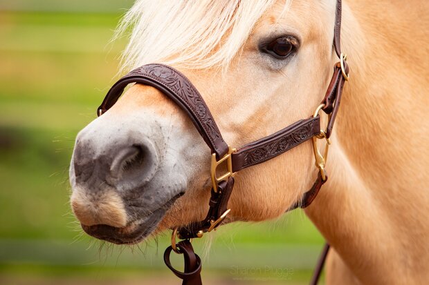 Edix leren halster Kaily bruin