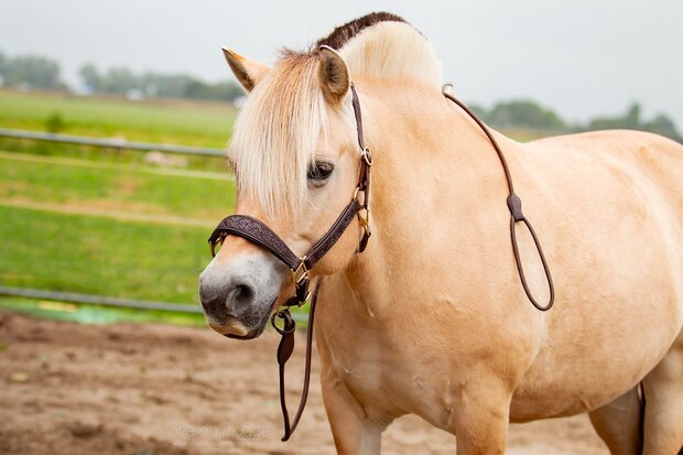 Edix leren halstertouw Kaily zwart