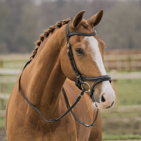 Het leren hoofdstel Kapitano is ergonomisch, volgens de anatomie van het hoofd van het paard gevormd. Het kopstuk heeft zachte 