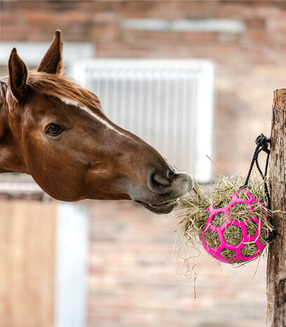 Waldhausen hooibal roze