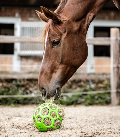 Waldhausen hooibal groen