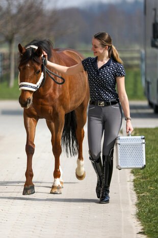 Imperial Riding poetsbox Shiny zilver