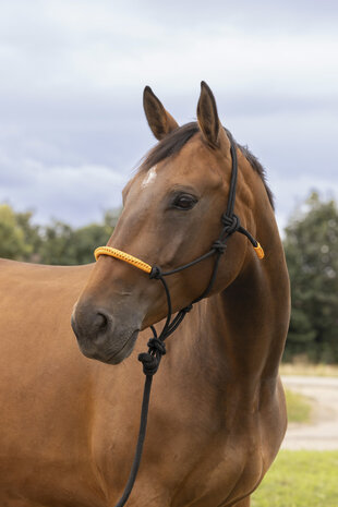 Norton touwhalster met halstertouw neon oranje