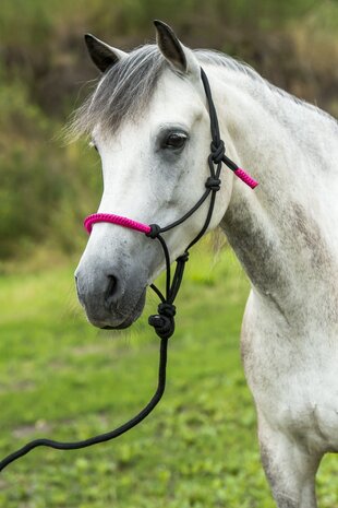 Norton touwhalster met halstertouw fuchsia