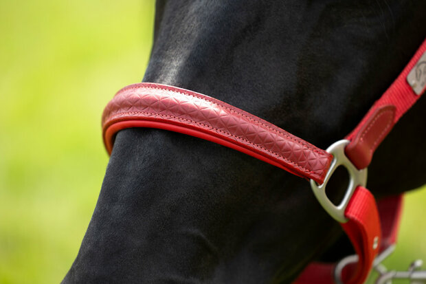 HKM halster -Aruba- rood