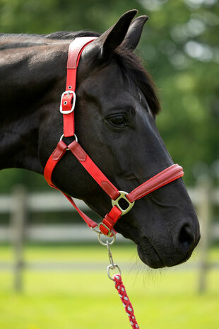 HKM halster -Aruba- rood