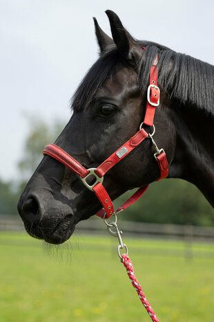 HKM halster -Aruba- rood