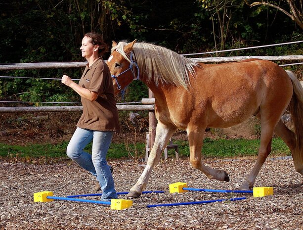 Barefoot Trainings Paaltjes 120cm