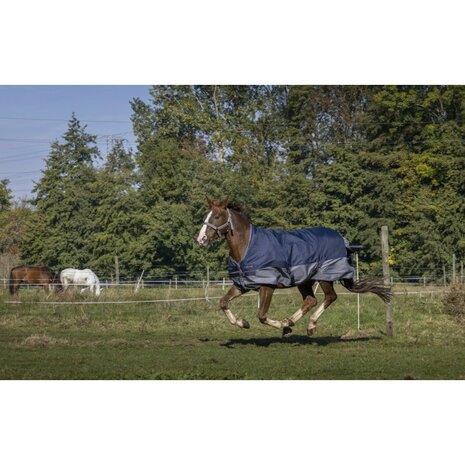 EquiTheme "Tyrex" 600D outdoordeken met halve hals 0gr