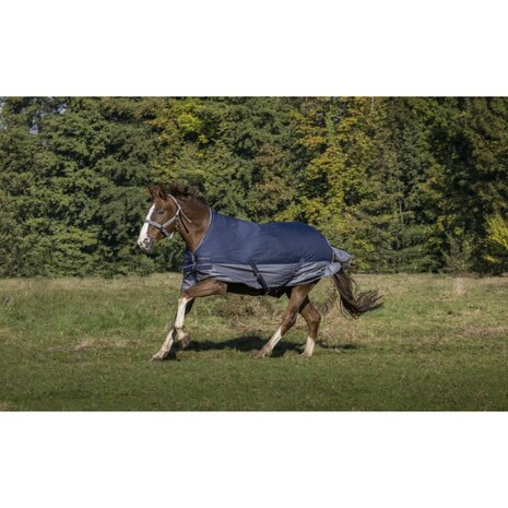 EquiTheme "Tyrex" 600D outdoordeken met halve hals 150gr