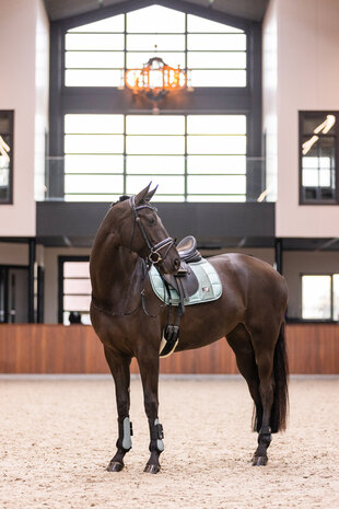 Imperial Riding peesbeschermers Lovely sage