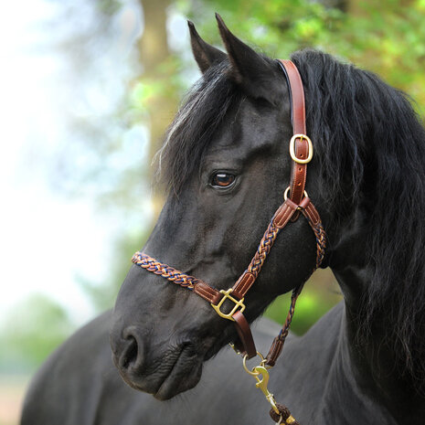 Kavalkade leren halster Tessa bruin/bruin navy/beige