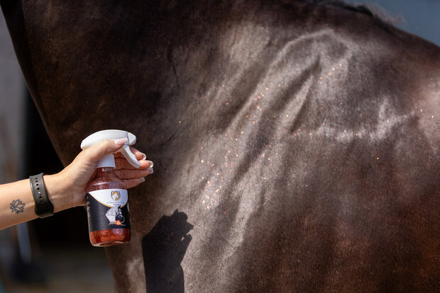 Excellent glitter spray Oranje 250ml