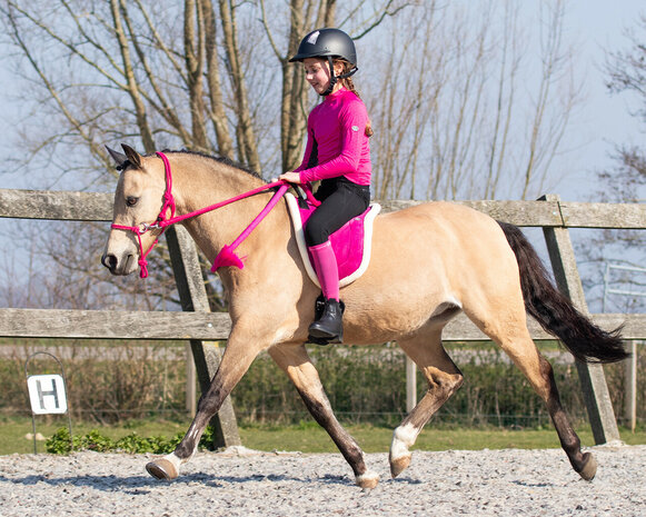 QHP bareback pad fuchsia