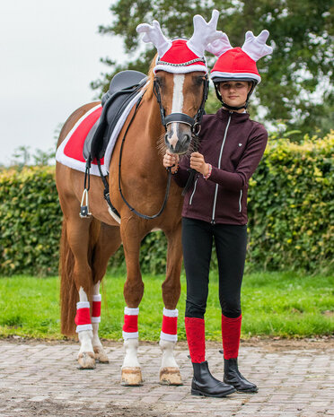 QHP oornetje rendier Kerst