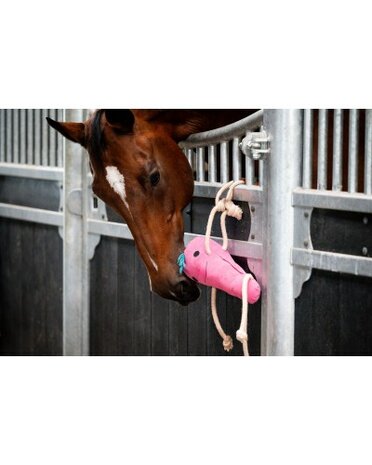 HB paardenspeelgoed roze wortel