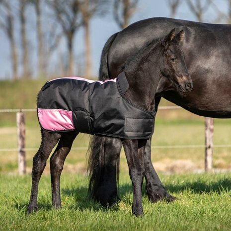 Harry's Horse waterdichte veulendeken TwoTone 200 gram zwart