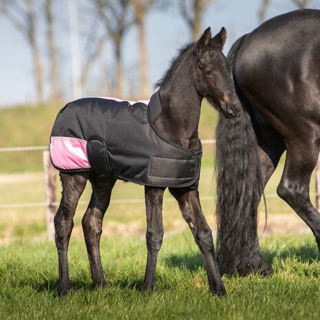 Harry's Horse waterdichte veulendeken TwoTone 200 gram zwart