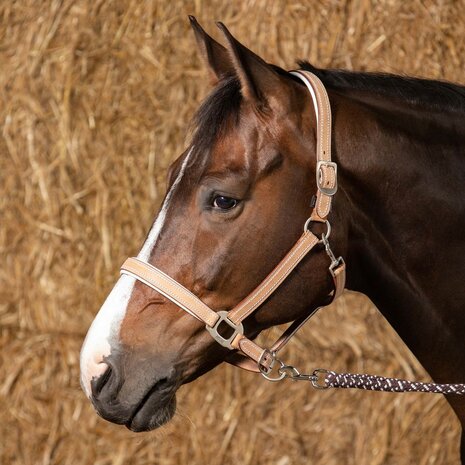 Harry's Horse leren halster Cremello