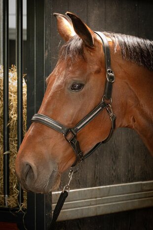 Harry's Horse leren halster Metallic zwart/gunmetal