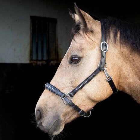 Harry's Horse leren halster Finesse Crystal