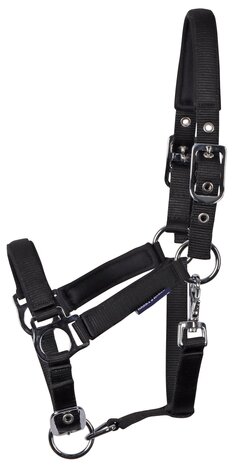 Harry's Horse veulenhalster Padded zwart