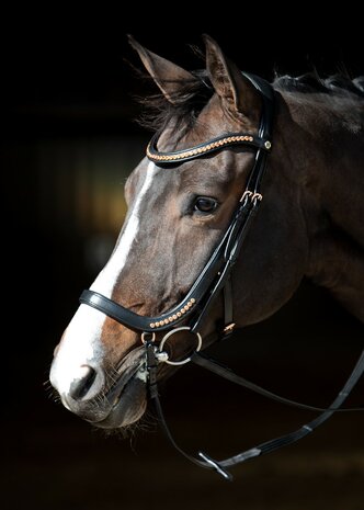 Harry's Horse hoofdstel Anatomic Rosegold