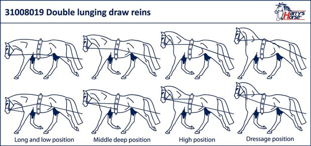 Harry's Horse dubbele longeerlijn