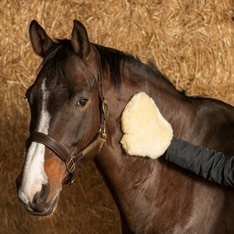 Harry's Horse wollen poetshandschoen