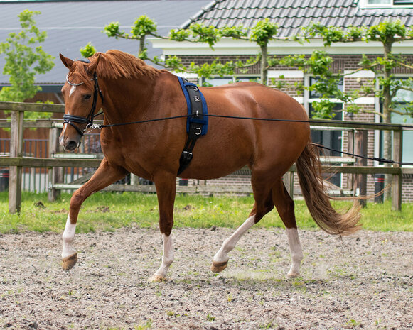 QHP dubbele longeerlijn