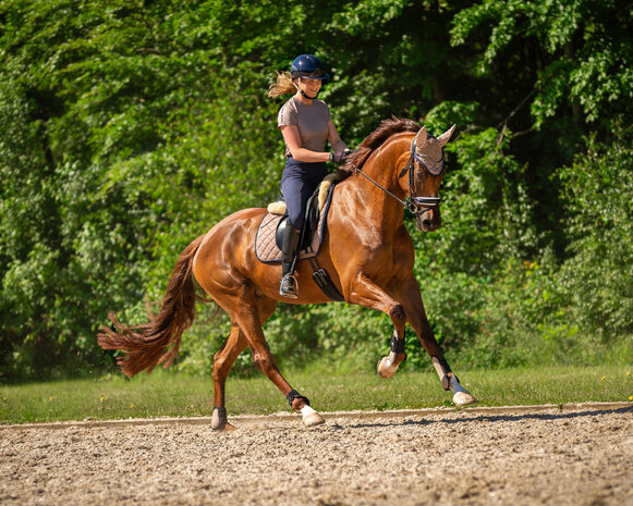 QHP peesbeschermers taupe