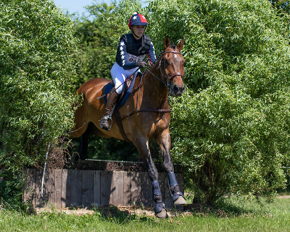 QHP Eventing beenbeschermers Technical voorbenen navy