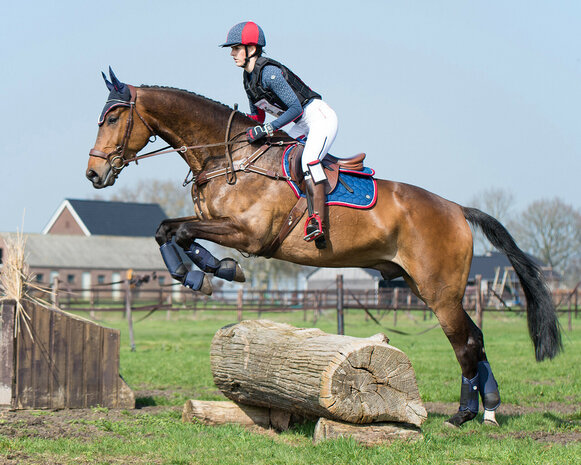 QHP Eventing beenbeschermers Technical achterbenen navy